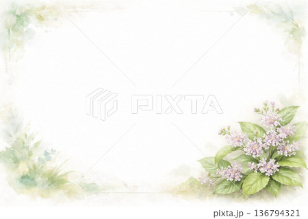 フレーム素材　花　ムラサキシキブ　紫式部 136794321