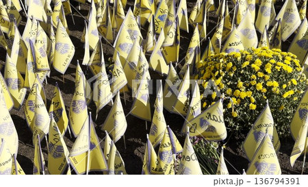 Many small flags of Ukraine with names of the dead war against russia. Memorial of the fallen soldiers, children, women in the center of Kyiv. Concept of tragedy and misfortune. Closeup Many small flags of Ukraine with names of the dead war against russia. Memorial of the fallen soldiers, children, women in the center of Kyiv. Concept of tragedy and misfortune. Closeup 136794391