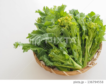 ざるに盛った菜の花 ざるに盛った菜の花 136794558