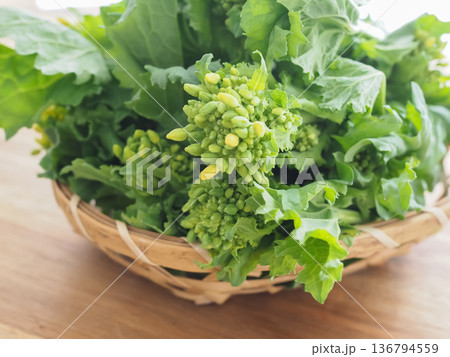 ざるに盛った菜の花 ざるに盛った菜の花 136794559