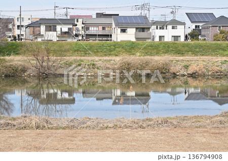越谷散歩・元荒川緑道 越谷市相模町 越谷散歩・元荒川緑道 越谷市相模町 136794908