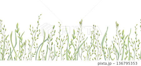 Meadow grass and herb watercolor horizontal seamless banner on isolated background. Wild spring plants with leaves and spikelet illustration, pattern for kitchen textile, packaging, decor. Meadow grass and herb watercolor horizontal seamless banner on isolated background. Wild spring plants with leaves and spikelet illustration, pattern for kitchen textile, packaging, decor. 136795353