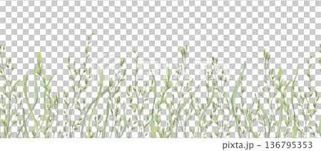 Meadow grass and herb watercolor horizontal seamless banner on isolated background. Wild spring plants with leaves and spikelet illustration, pattern for kitchen textile, packaging, decor. Meadow grass and herb watercolor horizontal seamless banner on isolated background. Wild spring plants with leaves and spikelet illustration, pattern for kitchen textile, packaging, decor. 136795353