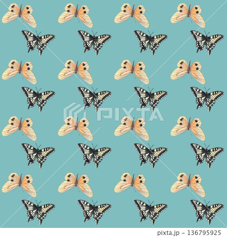 Seamless pattern with watercolor illustrated butterflies . Botanical insects 136795925