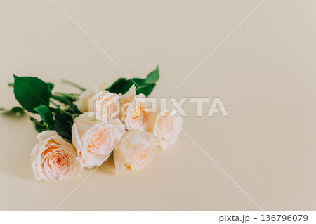 Tender Rose flowers on a pink pech pastel background. 136796079