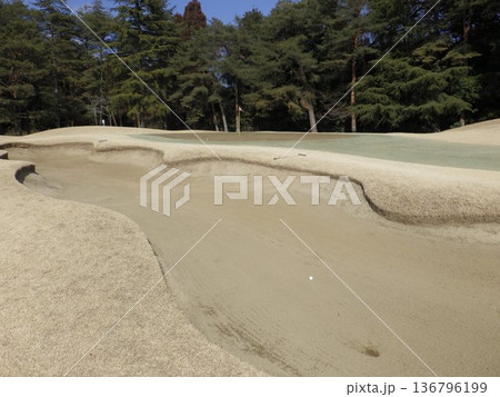 冬のゴルフ場 136796199