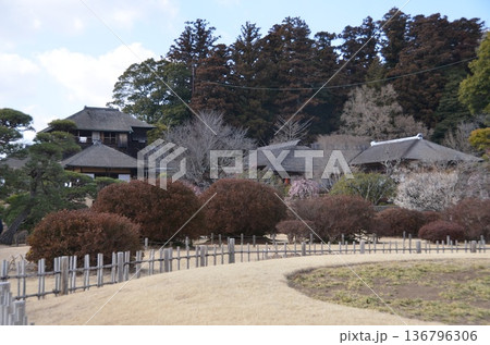 水戸偕楽園の庭園 水戸偕楽園の庭園 136796306