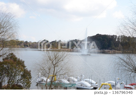 水戸偕楽園の千波湖 水戸偕楽園の千波湖 136796340