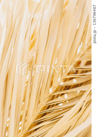 Dry yellow palm leaves in a sunlight. Summer background. Dry yellow palm leaves in a sunlight. Summer background. 136796487