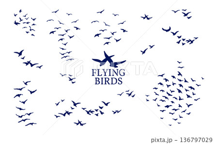 Flying Birds Silhouettes Vector Design Elements Set of Black Flock Murmuration Migration in Sky, Freedom Symbol Flying Birds Silhouettes Vector Design Elements Set of Black Flock Murmuration Migration in Sky, Freedom Symbol 136797029