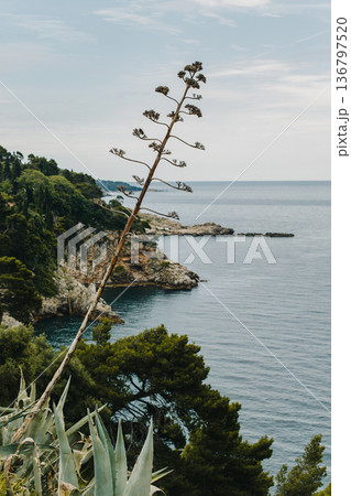 Amazing view of the Adriatic sea and rocks in Dubrovnik, Croatia. Amazing view of the Adriatic sea and rocks in Dubrovnik, Croatia. 136797520