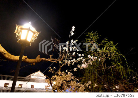 岡山県倉敷市_倉敷美観地区1_2025年3月 岡山県倉敷市_倉敷美観地区1_2025年3月 136797558