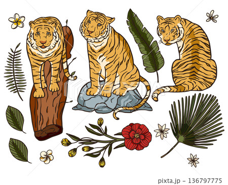 Tiger cartoon tropical vector set. 136797775