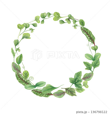 Salad leaves watercolor wreath on isolated background. Garden healthy plants as ingredient for soup, salads. Organic vegetable herb illustration for recipes, menu. Frame with copy space for text. 136798122