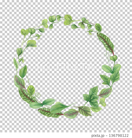 Salad leaves watercolor wreath on isolated background. Garden healthy plants as ingredient for soup, salads. Organic vegetable herb illustration for recipes, menu. Frame with copy space for text. 136798122