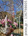 花のある風景 136798605