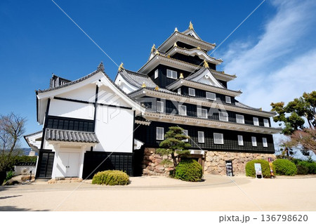 岡山県岡山市_岡山城12_2025年3月 岡山県岡山市_岡山城12_2025年3月 136798620