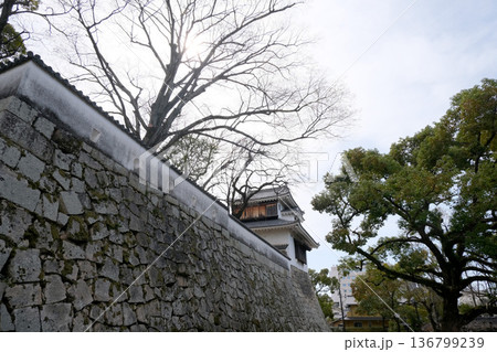 岡山県岡山市_岡山城月見櫓2 _2025年3月 136799239