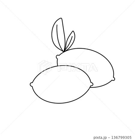 Two lemons are shown in a white background 136799305