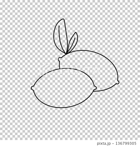 Two lemons are shown in a white background 136799305