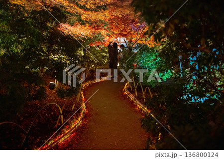Japanese couple view autumn night illumination at Hogonin, Arashiyama Japanese couple view autumn night illumination at Hogonin, Arashiyama 136800124