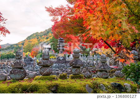 Stone wall by Adashino temple graveyard with autumn leaf, Arashiyama Stone wall by Adashino temple graveyard with autumn leaf, Arashiyama 136800127