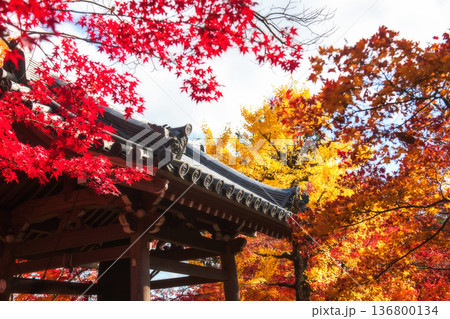 bell tower in fall leaf colors at Jojakkoji temple, Arashiyama bell tower in fall leaf colors at Jojakkoji temple, Arashiyama 136800134
