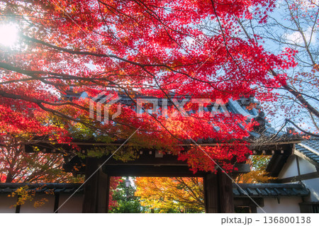 Ryoan-ji temple gate with colorful fall maple leaf, Kyoto Ryoan-ji temple gate with colorful fall maple leaf, Kyoto 136800138