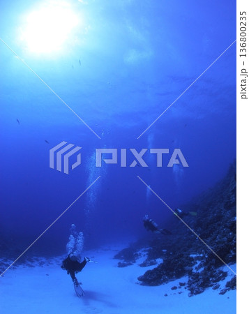 透明度の高い青い海 複数のダイバーと泡の水中風景 スキューバダイビングイメージ 透明度の高い青い海 複数のダイバーと泡の水中風景 スキューバダイビングイメージ 136800235