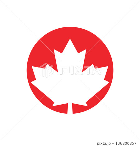 Pine Tree Canadian Maple Icon Vector Logo Template 136800857