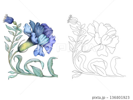 Coloring page of a carnation flower in watercolor style. Coloring page of a carnation flower in watercolor style. 136801923