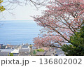 桜と海 136802002