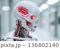 人工知能とサイボーグの進化イメージ｜赤く発光する脳を持つヒューマノイドロボット 136802140