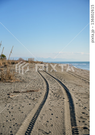 ATV Tire Tracks on Sandy Beach ATV Tire Tracks on Sandy Beach 136802615