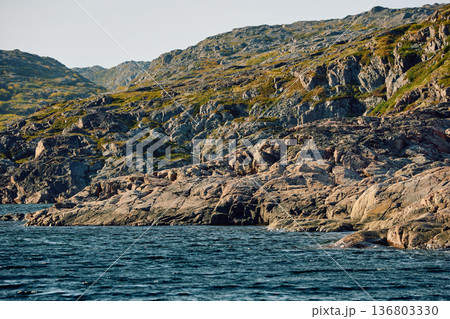 the coast of the Barents Sea at sunny weather, the rocky shore with colourful arctic carpet of moss, yagel, Tundra at autumn the coast of the Barents Sea at sunny weather, the rocky shore with colourful arctic carpet of moss, yagel, Tundra at autumn 136803330