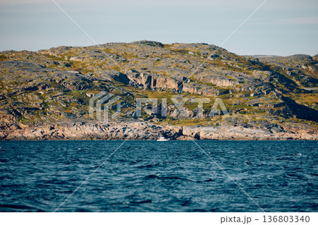 the coast of the Barents Sea, pleasure boats in the sea, the rocky shore with colourful arctic carpet of moss, yagel, Tundra at autumn the coast of the Barents Sea, pleasure boats in the sea, the rocky shore with colourful arctic carpet of moss, yagel, Tundra at autumn 136803340