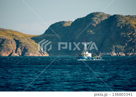 the coast of the Barents Sea, pleasure boats in the sea, the rocky shore with colourful arctic carpet of moss, yagel, Tundra at autumn 136803341