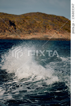 A wave of the Barents Sea breaks against a strong wind in sunny weather A wave of the Barents Sea breaks against a strong wind in sunny weather 136803347