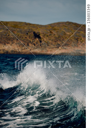 A wave of the Barents Sea breaks against a strong wind in sunny weather A wave of the Barents Sea breaks against a strong wind in sunny weather 136803349