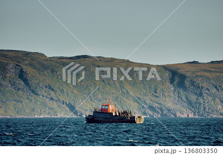 the coast of the Barents Sea, pleasure boats in the sea, the rocky shore with colourful arctic carpet of moss, yagel, Tundra at autumn 136803350