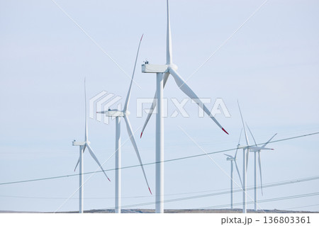 A field with windmills, turbine, extraction of clean electricity at sunset, Tundra at autumn, tundra near the town of Teriberka in Russia, Murmansk region 136803361