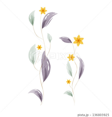 Watercolor artwork depicts two elegant plant stems growing upward. 136803925