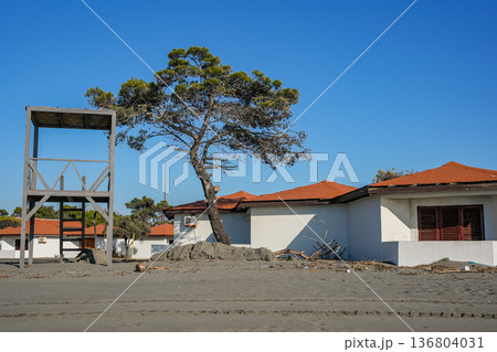 Beach Huts with Lifeguard Tower and Tree Beach Huts with Lifeguard Tower and Tree 136804031