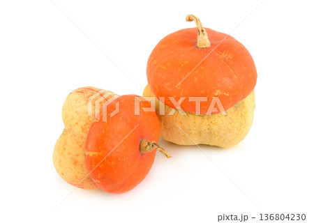 Pair of Decorative Turban Pumpkins Isolated on White Background 136804230