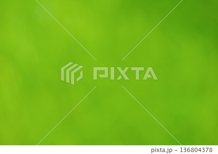 Defocused green bright background. Blurred natural background. Defocused green bright background. Blurred natural background. 136804378
