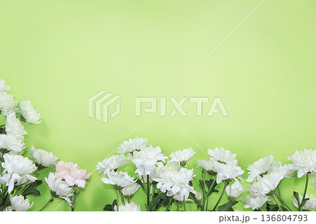 Abstract flower composition, still life, spring banner, chrysanthemum frame with place for text on bright background. Greeting card for mother's day, womens day, valentine's day, happy birthday, Abstract flower composition, still life, spring banner, chrysanthemum frame with place for text on bright background. Greeting card for mother's day, womens day, valentine's day, happy birthday, 136804793