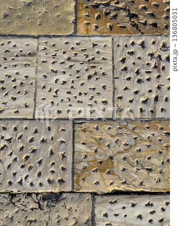 Rough Limestone Wall Showcasing Erosion Marks And Rustic Charm 136805031