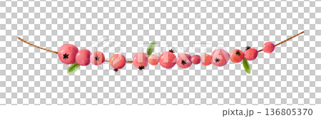 Watercolor garland with dried red berries isolated on white. Hand drawn hawthorn on a string in cute naive style for fall designs. Watercolor garland with dried red berries isolated on white. Hand drawn hawthorn on a string in cute naive style for fall designs. 136805370