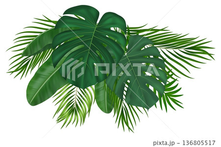 Tropical palm leaves bouquet. Lush foliage create exotic jungle atmosphere. Realistic green fronds with monstera plants form natural botanical frame for summer designs. Vector illustration Tropical palm leaves bouquet. Lush foliage create exotic jungle atmosphere. Realistic green fronds with monstera plants form natural botanical frame for summer designs. Vector illustration 136805517