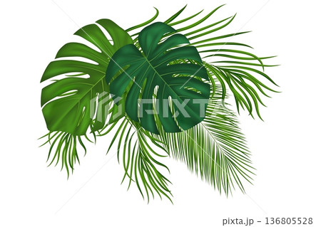 Tropical palm leaves bouquet. Lush foliage create exotic jungle atmosphere. Realistic green fronds with monstera plants form natural botanical frame for summer designs. Vector illustration Tropical palm leaves bouquet. Lush foliage create exotic jungle atmosphere. Realistic green fronds with monstera plants form natural botanical frame for summer designs. Vector illustration 136805528
